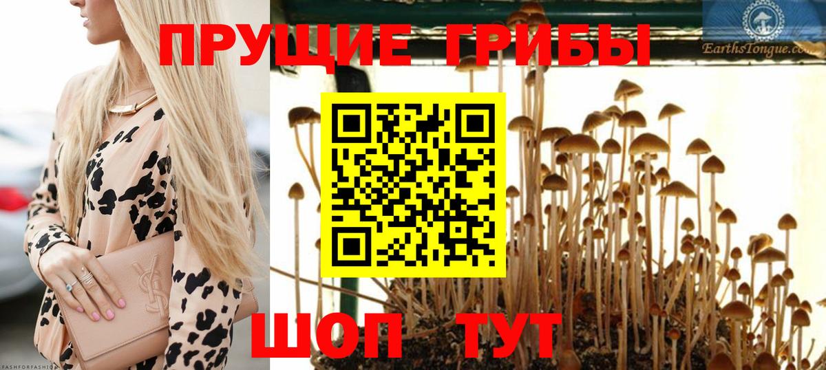 Галлюциногенные грибы Psilocybine cubensis  Вход с VPN  Лобня 